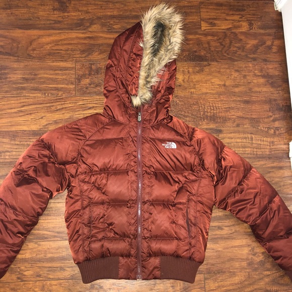 The North Face Jackets & Blazers - North face winter coat